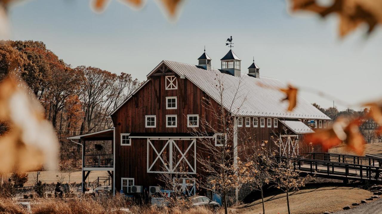 Zion Springs Bed & Breakfast Hamilton Екстериор снимка